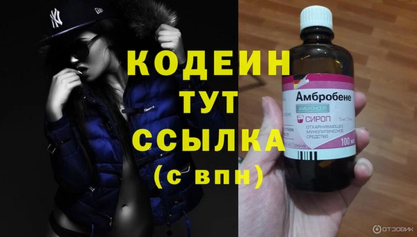 спиды Заводоуковск