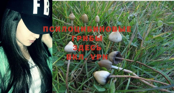 Альфа ПВП Строитель
