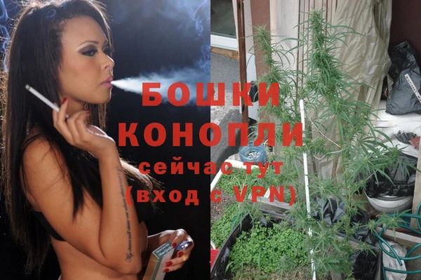 спиды Заводоуковск