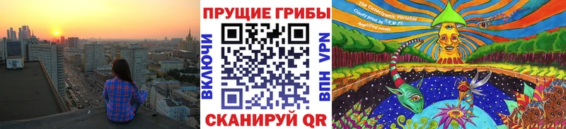 Купить закладки Трубчевск Галлюциногенные грибы Magic Shrooms