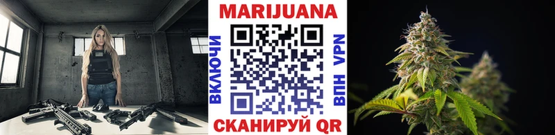 Купить  Трубчевск  Бошки Шишки ГИДРОПОН 